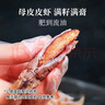 渔大叔 即食皮皮虾肉169g虾爬子约18只高蛋白高钙海味零食特产休闲食品 实拍图