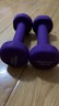 PROIRON普力艾 浸塑哑铃女士家用纯铁小哑铃儿童初学者健身 紫色1.5kg*2 实拍图
