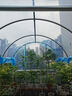 建陵家用温室花棚暖房大棚骨架阳台楼顶植物蔬菜防寒保暖阳光棚阳光房 2米宽 2米长 2米高【送加厚棚膜】 实拍图
