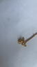 周大福 杏福相拥 优雅银杏 黄金吊坠(工费120)约2g EOF74新年礼物 实拍图