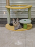 喵仙儿猫爬架太空舱猫窝多层跳台剑麻猫抓柱耐磨猫抓板仙人掌猫玩具 实拍图
