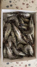 GUO LIAN国联 黑虎虾超大规格斑节虾无冰净重2斤 16-20只高虾青素虾类海鲜 实拍图