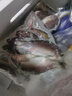 微山湖野生鲫鱼土渔民捕捞活鱼现杀净膛滋补炖汤400g/袋生鲜鱼类 中号【4-6条/400g】400g*5袋 实拍图
