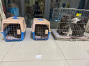 冠能猫粮成猫专用鸡肉配方英短罐能发腮官能护肾猫咪主粮 成猫鸡肉7kg 实拍图