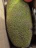 京鲜生 海南菠萝蜜整个 13-17斤 净重13斤生鲜水果 源头直发 实拍图