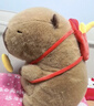 贝尚星 卡皮巴拉玩偶毛绒玩具生日礼物女生公仔布娃娃男背包薯条33cm 实拍图
