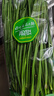 绿色韭菜250g 实拍图
