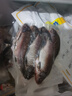 微山湖野生鲫鱼土渔民捕捞活鱼现杀净膛滋补炖汤400g/袋生鲜鱼类 中号【4-6条/400g】400g*5袋 实拍图