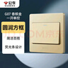公牛（BULL）墙壁开关 G07系列 一开单控开关86型面板G07K111C(U6) 香槟金 实拍图