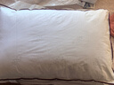 水星家纺枕头枕芯酒店枕头护颈枕头芯家用单个纯棉抗菌可水洗中枕48x74cm 实拍图