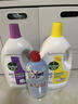 滴露（Dettol）衣物消毒液 薰衣草3L 99.9%杀菌除螨内衣儿童衣物除菌液配洗衣液 实拍图