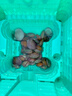 彩格MLT-D101S硒鼓大容量1支适用三星SCX-3401 3400 3405 3406碳粉盒ML2161 2162 2164 2165 2166 2160打印机墨盒 实拍图