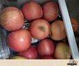 佳农 烟台红富士苹果 净重10斤 一级果 单果重160g+  生鲜水果礼盒 实拍图