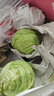 京地达山东青甘蓝 净重4.5斤 单果200g+绿包菜球圆白菜  源头直发包邮 实拍图