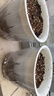 九千谷花盆塑料透明懒人自吸水盆水培水养植物免浇水储水盆口径16cm6049 实拍图