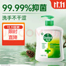 滴露（Dettol）洗手液松木500g瓶 健康抑菌消毒非补充装 儿童家庭用清爽去油 实拍图