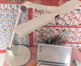 适璞【红光护眼】台灯护眼学生学习专用防蓝光防近视全光谱充插两用 【学霸Pro】8000长续航-进口灯珠 AAA级健康照明丨国AA级护眼 实拍图