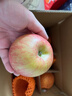 京鲜生 新疆阿克苏苹果 净重4.5斤 果径75-80mm 水果源头直发 实拍图