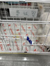 加仕高宠物狗玩具狗狗金毛泰迪互动磨牙解闷耐咬狗玩具3件套颜色随机 实拍图