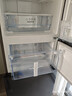 海信252升一级节能小冰箱小型无霜冰箱家用三开门家电国家补贴20%以旧换新BCD-252WYK1DPUJ 251升级款  实拍图