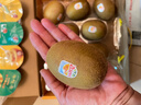 佳沛（zespri）新西兰  阳光金奇异果10粒礼盒巨大果单果约144-175g 水果 猕猴桃 实拍图