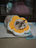 华元宠具（hoopet）狗狗伊丽莎白圈项圈小型犬宠物猫咪颈圈脖圈头套猫伊利沙白圈头罩 实拍图