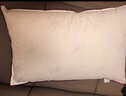 水星家纺枕头枕芯酒店枕头护颈枕头芯家用一对纯棉抗菌可水洗中枕48x74cm 实拍图
