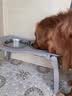 睿福祥土狗家狗通用型幼犬成犬冻干10斤装柯基泰迪金毛边牧中小型犬粮 营养四拼粮10斤【经济实惠装】 0lb 实拍图