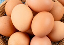 京鲜生鲜鸡蛋20枚/盒 健康轻食 营养健康 2斤/盒 源头直发  实拍图