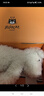 Jellycat害羞乳白色邦尼兔动物毛绒玩偶安抚玩偶娃娃生日情人节礼物 害羞乳白色邦尼兔 Huge 实拍图