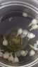 干茉莉花茶花草茶花苞茶叶耐泡袋装食用茉莉花苞浓香型茉莉干花茶 干茉莉花10克*1袋 实拍图