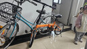 大行（DAHON）KT610折叠自行车16英寸单速男女学生上班上学城市通勤单车 橙色 实拍图