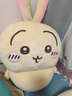 名创优品（MINISO）chiikawa大号站姿公仔毛绒玩偶玩具抱枕靠枕生日礼物女 乌萨奇 实拍图