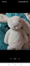 Jellycat害羞乳白色邦尼兔动物毛绒玩偶安抚玩偶娃娃生日情人节礼物 害羞乳白色邦尼兔 Huge 实拍图