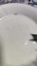 九阳破壁机1.75L家用全自动豆浆机降噪榨汁料理机五谷杂粮破壁机P366 政府补贴 实拍图