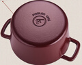 菲仕乐德国Moments食光铸铁锅炖煲小汤锅家用24厘米铸铁锅-勃艮第红 实拍图
