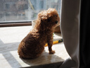 奥林巴斯（OLYMPUS）E-M10 MarkIV EM10四代 微单相机 数码相机 微单套机（14-42mm F3.5-5.6）银色 实拍图