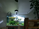 品牌同厂晶普达原生溪流缸鱼缸筒灯led全光谱水草爆藻金鱼出苔灯 全光谱混白光-30W黑色+支架 实拍图