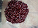硃碌科  有机红豆3斤 东北红小豆五谷杂粮豆豆馅豆沙原料圆润饱满 实拍图