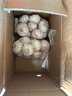 大蒜头出口品质网兜紫蒜蔬菜调料新鲜大果烧烤火锅食材 【精品网兜装】5斤装 2300g 实拍图