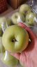 京地达山西青苹果 净重4.5斤单果130g起小苹果现摘酸甜脆爽源头直发包邮 实拍图