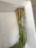 绿食者 新鲜香茅500g 柠檬草泰国冬阴功汤泰式料理调味香料菜奶茶店用品 实拍图