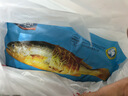 海名威 宁德黄花鱼600g/条 大黄鱼 深海鱼 生鲜鱼类 海鲜水产 地标产品 实拍图
