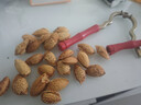 新货巴旦木250g奶油味手剥杏仁扁桃仁坚果净重营养零食 巴旦木盐焗味味250g*1袋 实拍图