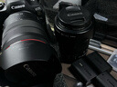佳能（Canon）RF全画幅微单镜头 专业变焦镜头打鸟 适合R7 RP R10 R5 R6二代 R8 R50 R100微单相机 RF 24-105mm F4 IS USM标准变焦 官方标配【不含多种滤 晒单实拍图