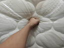 舒达（serta）三大核心技术床垫 偏硬支撑 厚23cm 致妙床垫1.8米*2米 京配 实拍图