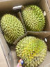 京鲜生 进口金枕头榴莲 巴掌榴莲 2-3斤 1个装  鲜果 生鲜 新鲜水果 实拍图