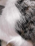 可悠然猫咪沐浴露宠物香波蓬松毛发温和亲肤洗护一体淡奶香型500ml 实拍图
