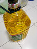 西王 食用油 玉米胚芽油6.18L 非转基因物理压榨 热门商品 实拍图