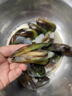 海鲜世家 新西兰熟冻原汁全壳青口贝净含量1kg 21-26只/袋 原装进口 海鲜 实拍图